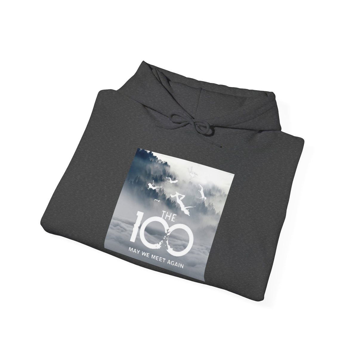 "The 100" Hoodie